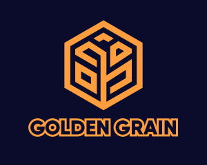 Tech Startup Hexagon Grain logo