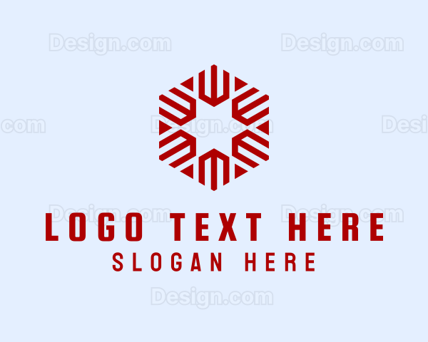 Modern Hexagon Star Logo