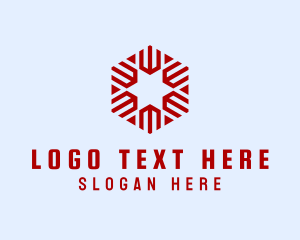 Modern Hexagon Star  logo design