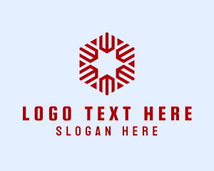 Modern Hexagon Star  Logo