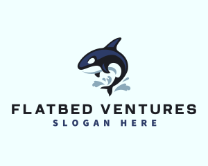 Wild Orca Whale logo design