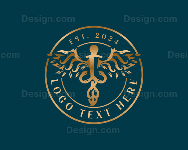 Medical Healthcare Caduceus Logo