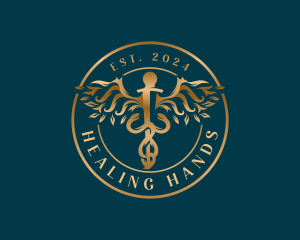 Medical Healthcare Caduceus logo design