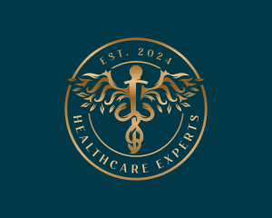 Medical Healthcare Caduceus logo design