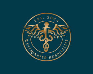 Medical Healthcare Caduceus logo design