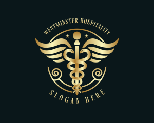 Medical Hospital Doctor logo design