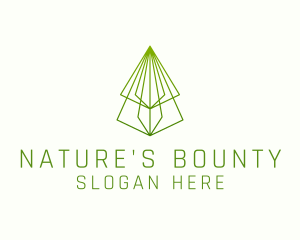 Pine Tree Line Art logo design