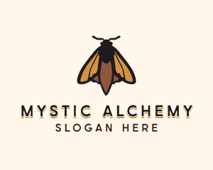 Mystical Moth Butterfly logo design