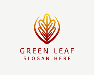 Botanical Garden Leaf logo design