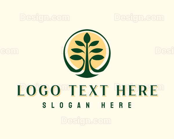 Tropical Forest Tree Logo