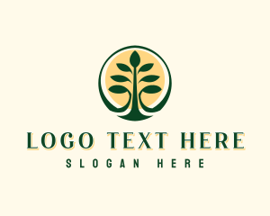 Tropical Forest Tree logo