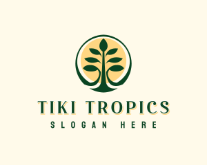 Tropical Forest Tree logo design