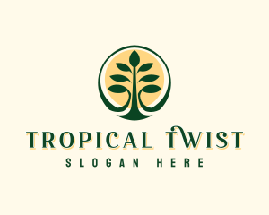 Tropical Forest Tree logo design