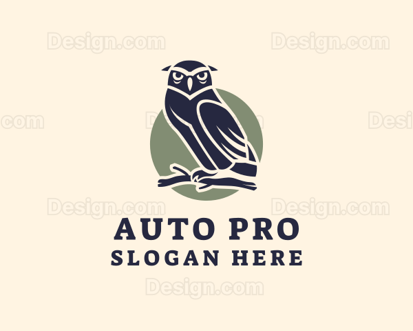 Owl Bird Aviary Logo