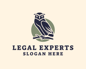 Owl Bird Aviary logo