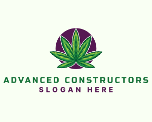 Hemp Cannabis Leaf logo design