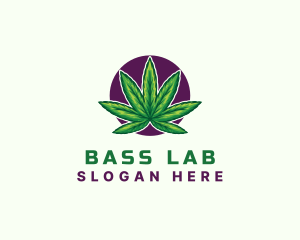 Hemp Cannabis Leaf logo design