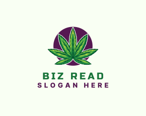 Hemp Cannabis Leaf logo design