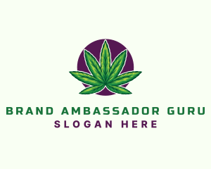 Hemp Cannabis Leaf logo design