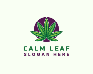 Hemp Cannabis Leaf logo design