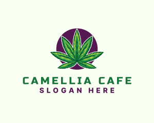 Hemp Cannabis Leaf logo design