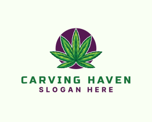 Hemp Cannabis Leaf logo design