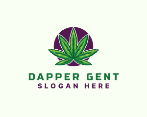 Hemp Cannabis Leaf logo design