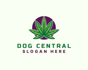 Hemp Cannabis Leaf logo design