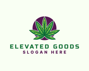 Hemp Cannabis Leaf logo design