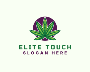 Hemp Cannabis Leaf logo design