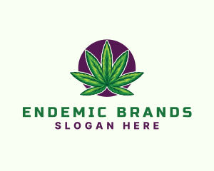 Hemp Cannabis Leaf logo design