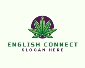 Hemp Cannabis Leaf logo design