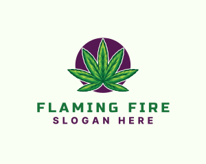 Hemp Cannabis Leaf logo design