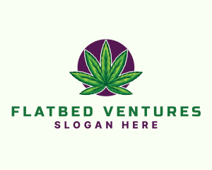 Hemp Cannabis Leaf logo design