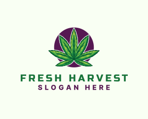 Hemp Cannabis Leaf logo design