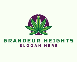 Hemp Cannabis Leaf logo design