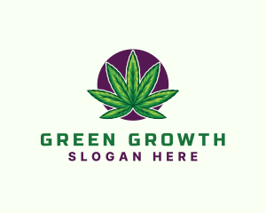 Hemp Cannabis Leaf logo design