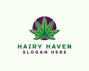 Hemp Cannabis Leaf logo design