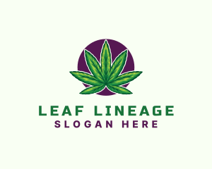 Hemp Cannabis Leaf logo design