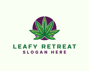 Hemp Cannabis Leaf logo design