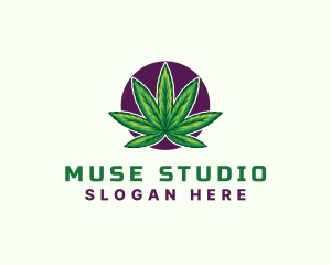 Hemp Cannabis Leaf logo design