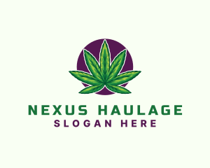 Hemp Cannabis Leaf logo design