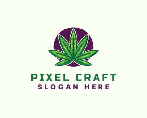 Hemp Cannabis Leaf logo design