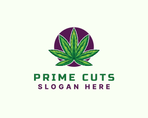 Hemp Cannabis Leaf logo design