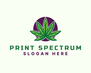 Hemp Cannabis Leaf logo design