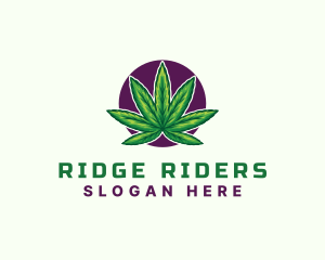 Hemp Cannabis Leaf logo design