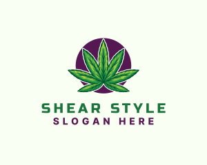 Hemp Cannabis Leaf logo design