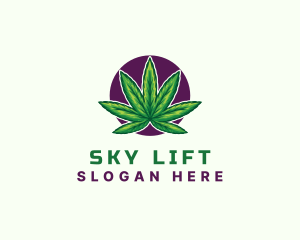 Hemp Cannabis Leaf logo design