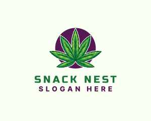 Hemp Cannabis Leaf logo design