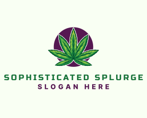 Hemp Cannabis Leaf logo design